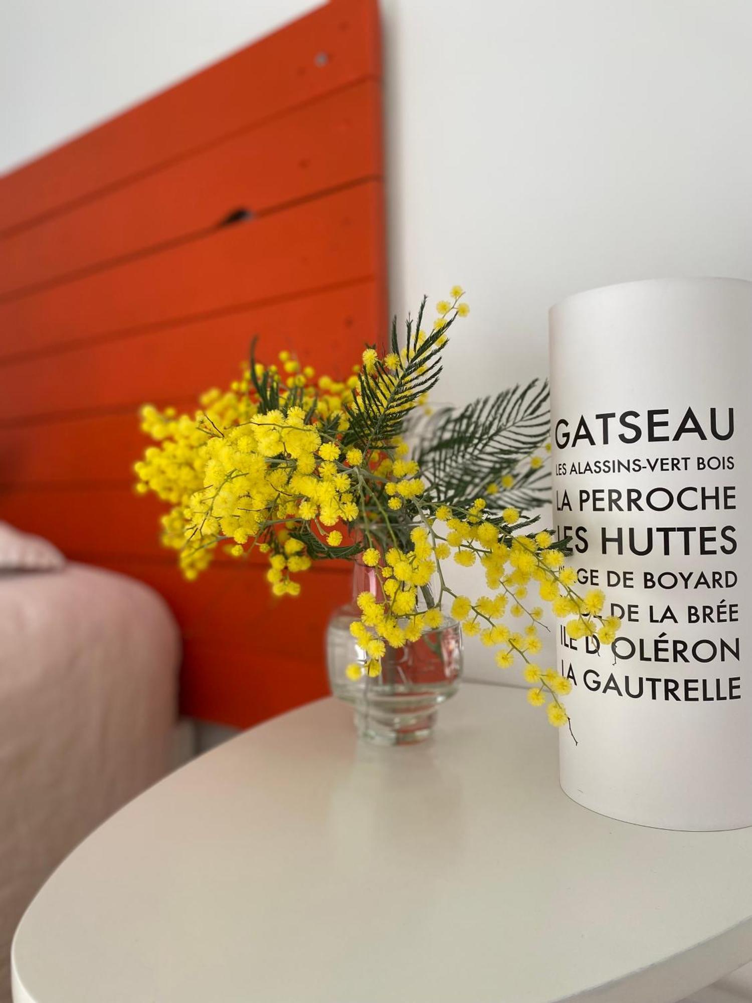 Les Tranquilles D'Oleron Bed & Breakfast La Cotinière Екстериор снимка